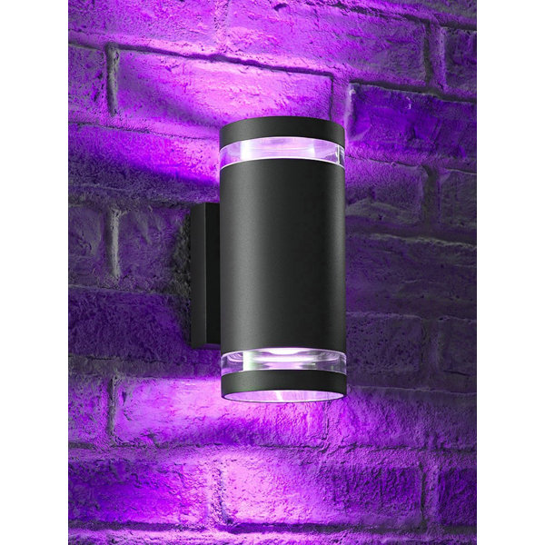 Auraglow Anthracite Grey 2 Bulb 21.60Cm H Colorful Glass Outdoor Wall